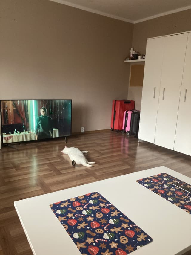 Przytulne mieszkanie w Konstantynowie, Lublin - Zdjęcie 2/6