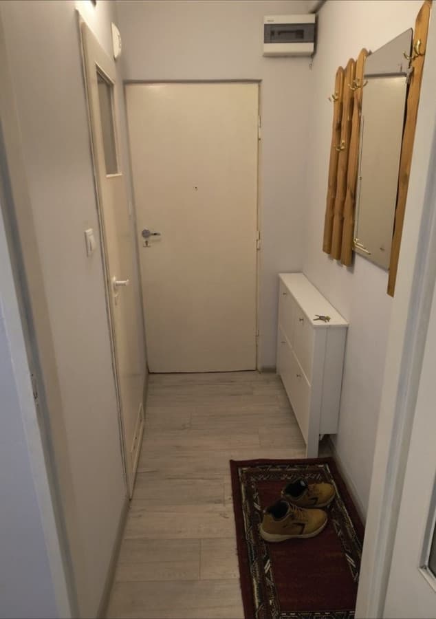 Przytulne mieszkanie na Winogradach, umeblowane - Zdjęcie 5/8