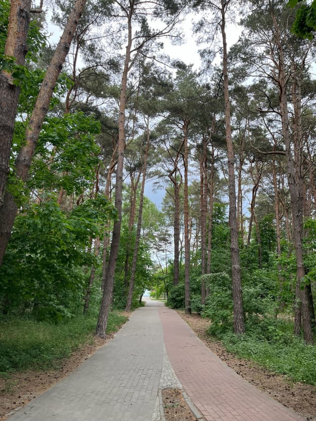 Doskonała lokalizacja w Gdańsku - Jelitkowo - Zdjęcie 3/15