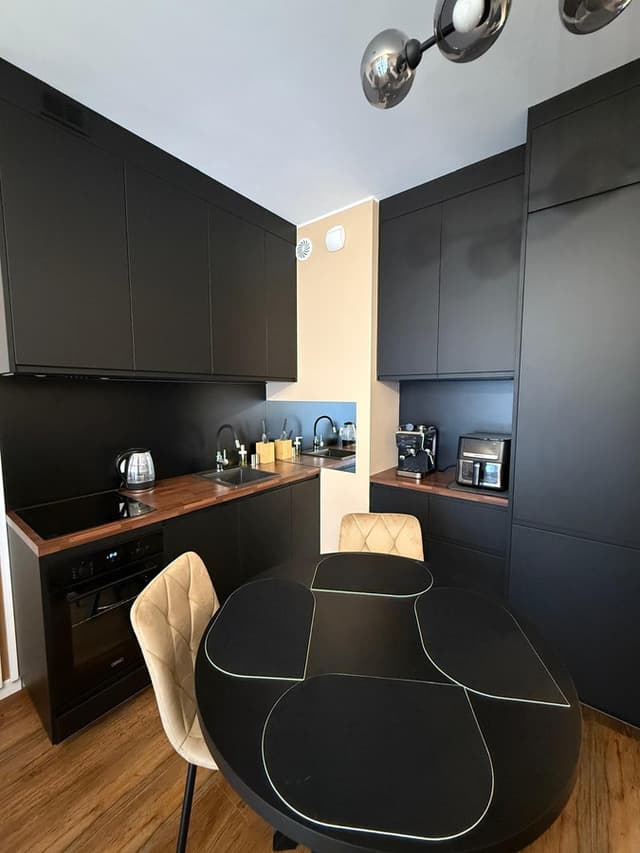 Luksusowy apartament z klimatyzacją, centrum Łodzi - Zdjęcie 5/15