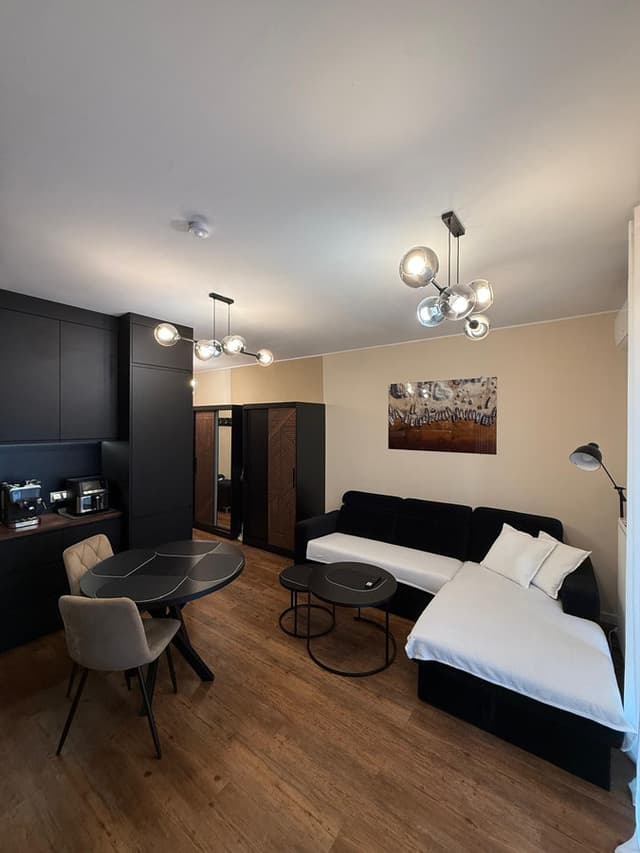 Luksusowy apartament z klimatyzacją, centrum Łodzi - Zdjęcie 4/15