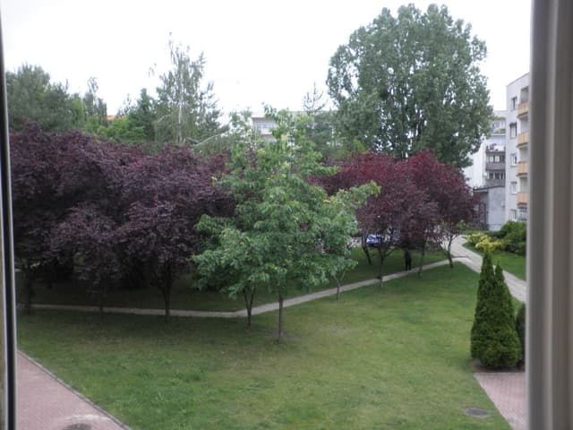Słoneczne mieszkanie z балконем i widokiem na park, Widzew - Zdjęcie 2/15