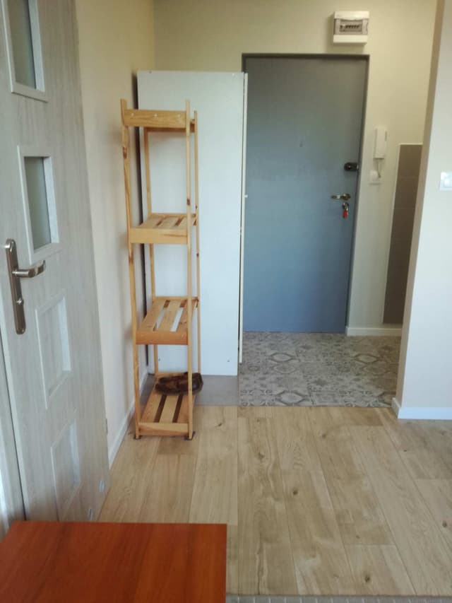 Funkcjonalne mieszkanie dla singla w Poznaniu - Zdjęcie 3/11