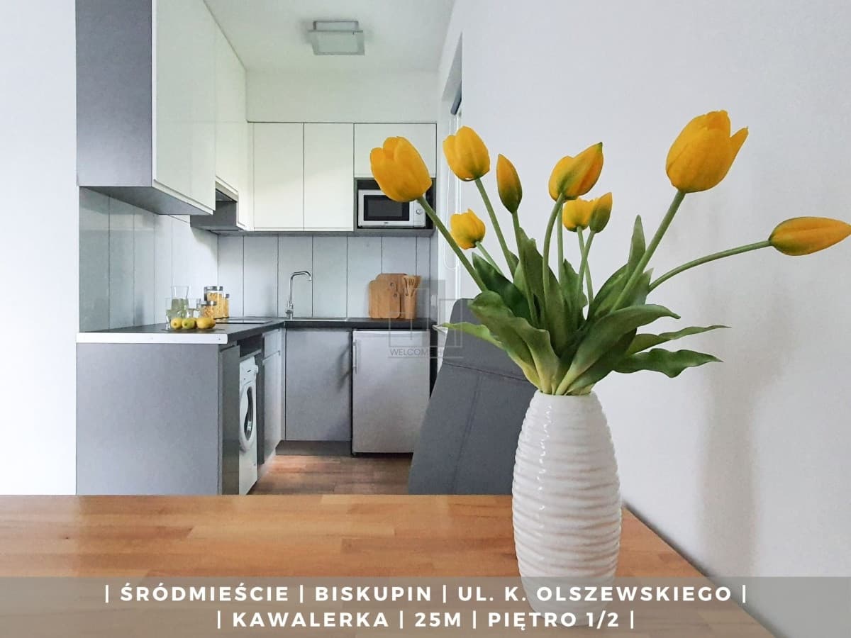 Przytulne mieszkanie w centrum Wrocławia - Śródmieście - Zdjęcie 1/11