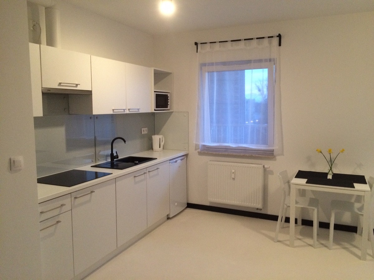 Przytulne mieszkanie jednopokojowe na Winogradach - Zdjęcie 1/11