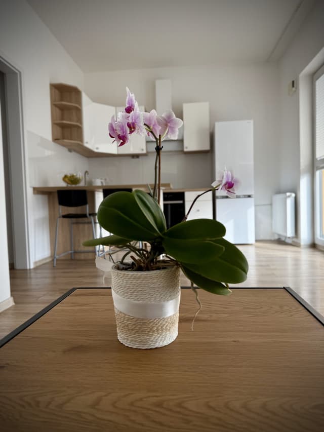 Umeblowane mieszkanie w Warszawie - gotowe od zaraz - Zdjęcie 5/20