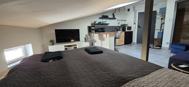 Stylowa, klimatyzowana kawalerka loft w centrum Łodzi - Zdjęcie 3/10