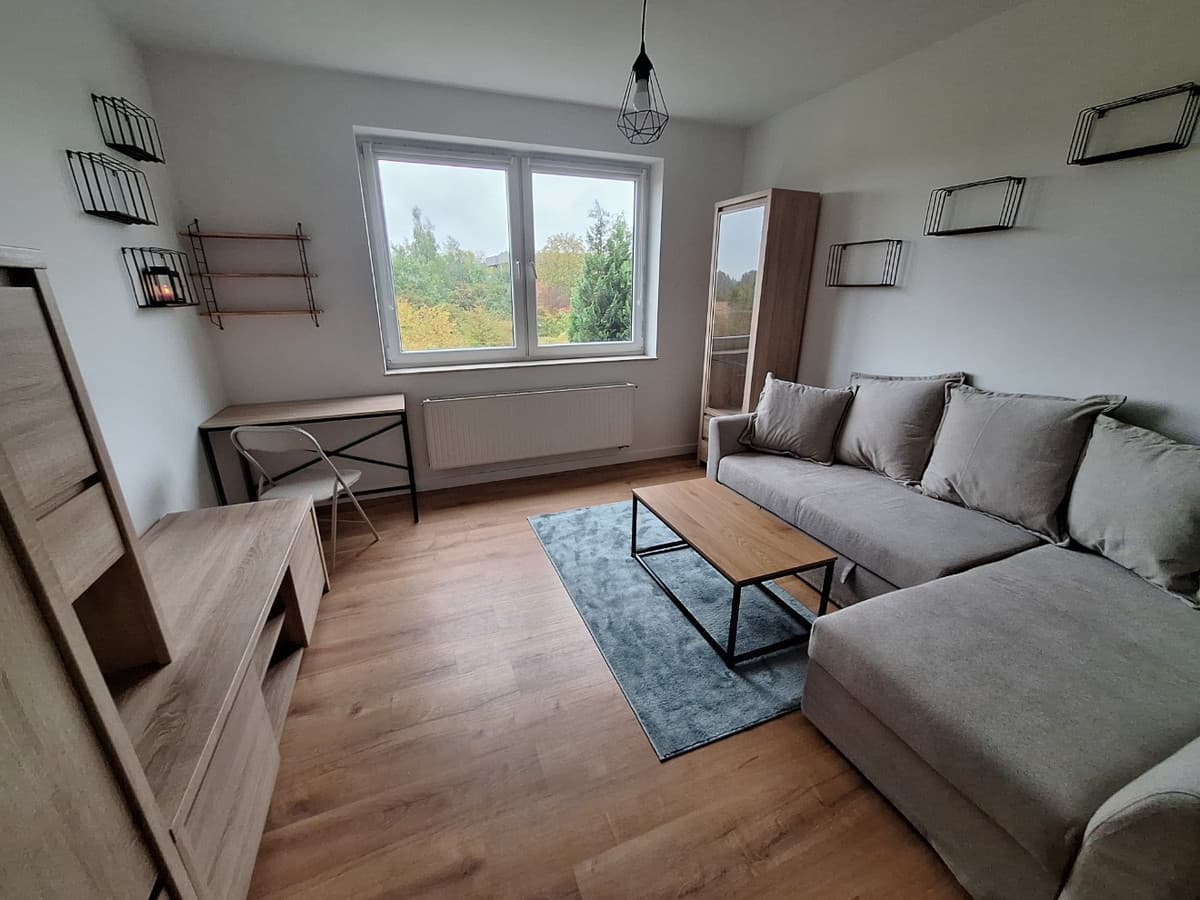 Nowoczesny apartament przy ul. Perkusyjnej - gotowy do zamieszkania - Zdjęcie 1/16