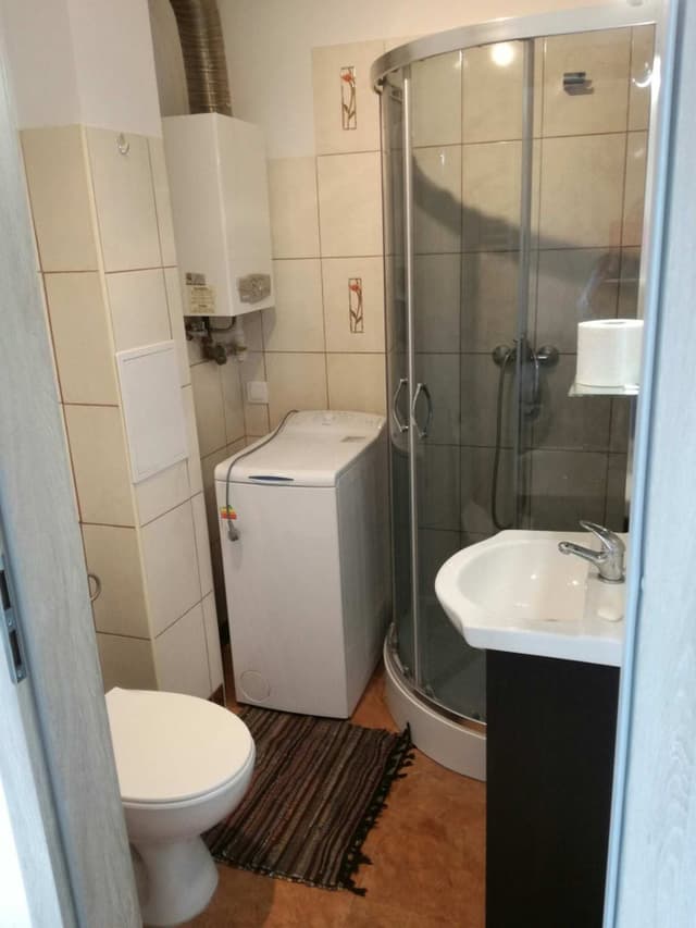 Funkcjonalne mieszkanie dla singla w Poznaniu - Zdjęcie 5/11