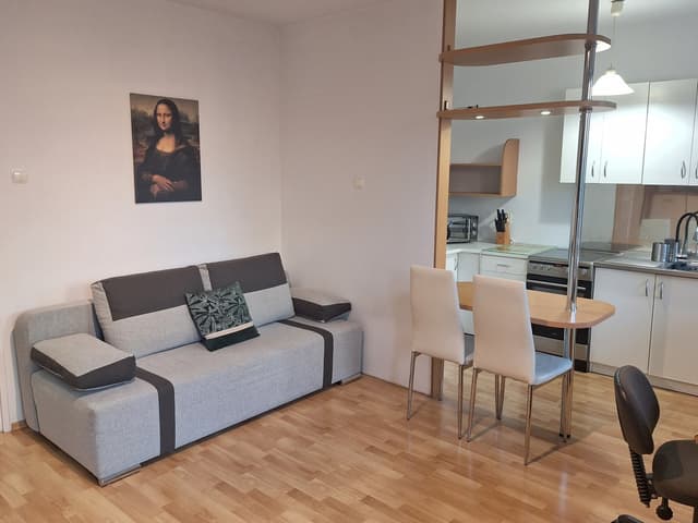 Komfortowe mieszkanie w Piątkowie do wynajęcia - Zdjęcie 2/11