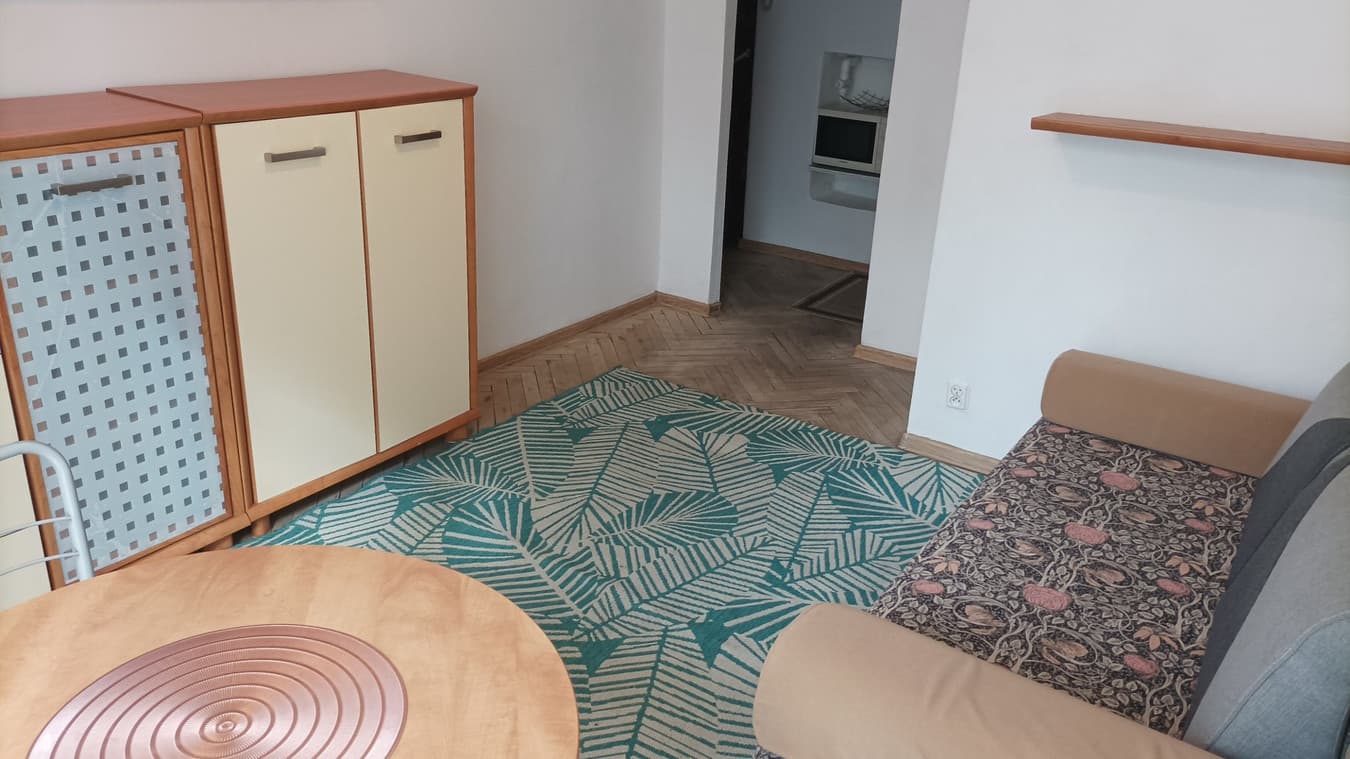 Przytulne studio w centrum Łodzi przy ul. Wierzbowej - Zdjęcie 1/5