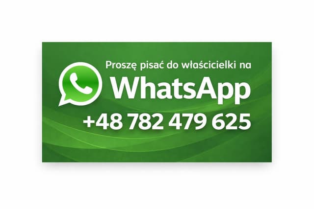 Umeblowane mieszkanie Stare Miasto z garażem - Zdjęcie 5/12