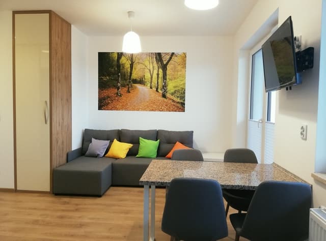 Nowoczesne studio z wielkim tarasem i klimatyzacją, Krzyki - Zdjęcie 4/11
