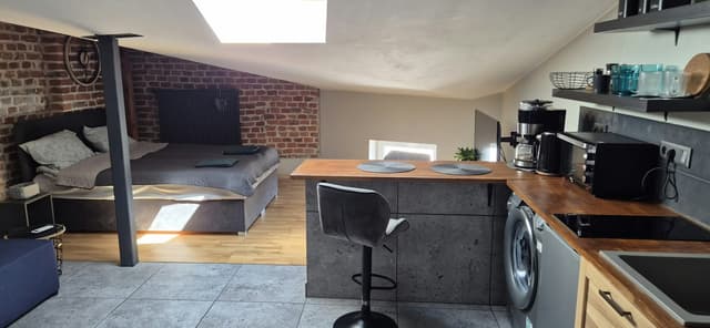 Stylowa, klimatyzowana kawalerka loft w centrum Łodzi - Zdjęcie 5/10