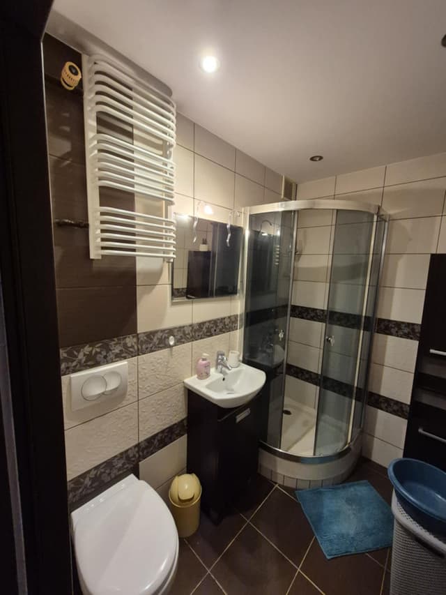 Komfortowe mieszkanie w Polesiu, Łódź - Zdjęcie 4/5