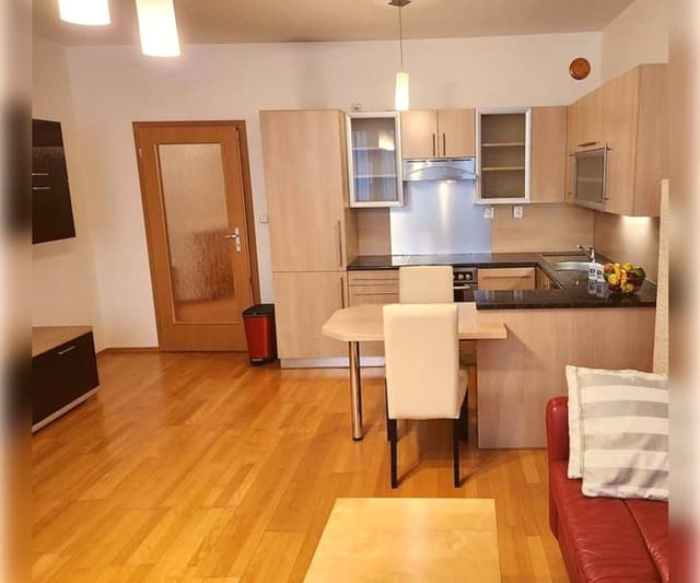 Mieszkanie 1-pokojowe na Winogradach - 1500 zł - Zdjęcie 4/11