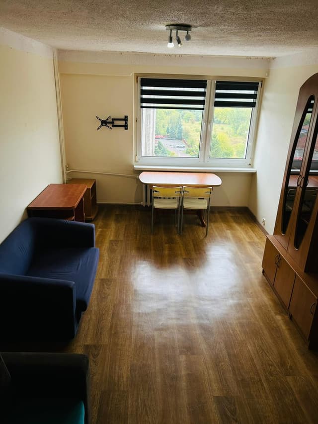 Mieszkanie 1-pokojowe w Nowym Mieście, Poznań - Zdjęcie 2/11