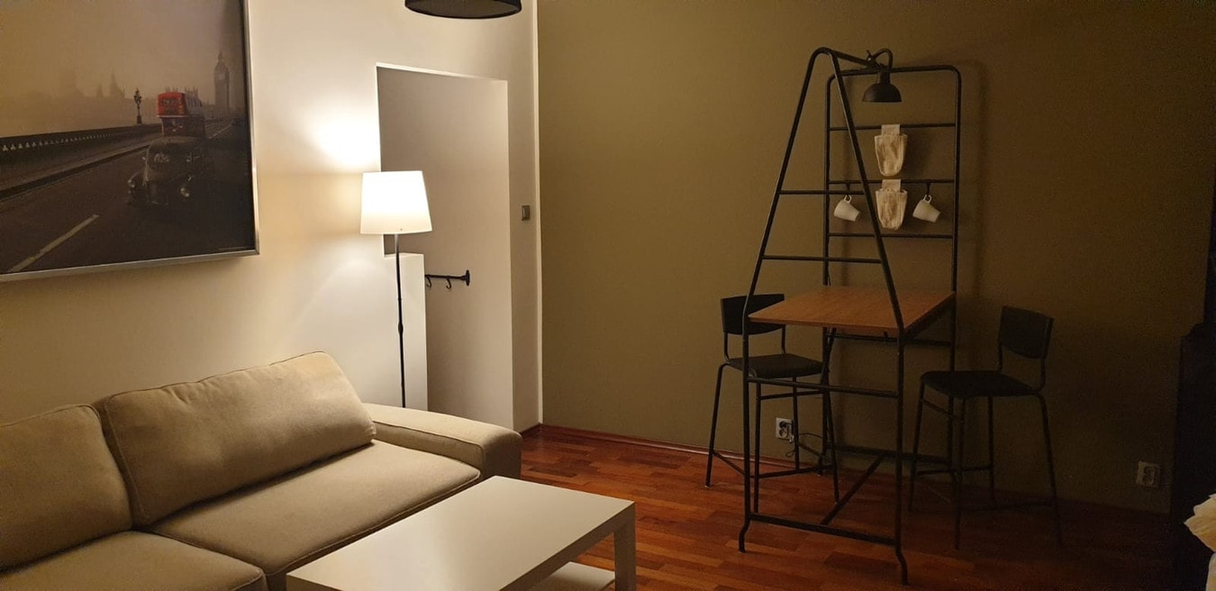 Komfortowy apartament z tarasem na Teofilowie - Zdjęcie 1/5