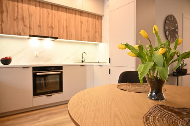 Nowoczesny apartament przy parku, Osiedle Enklawa - Zdjęcie 4/20