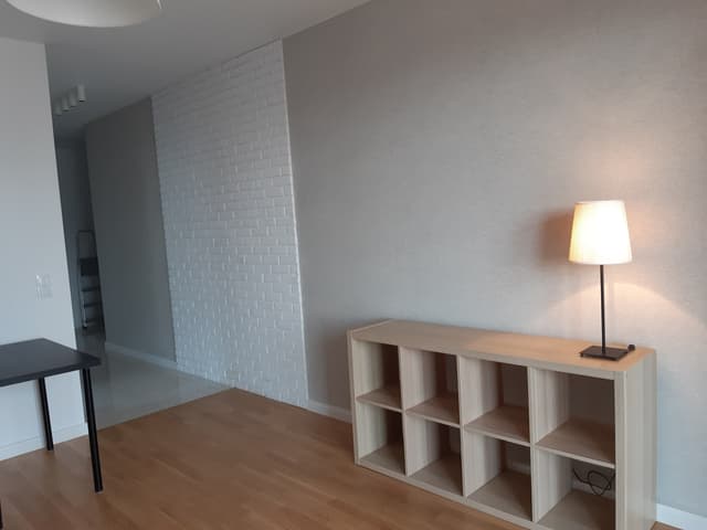 Nowoczesne mieszkanie w sercu Pragi-Południe - Zdjęcie 3/12