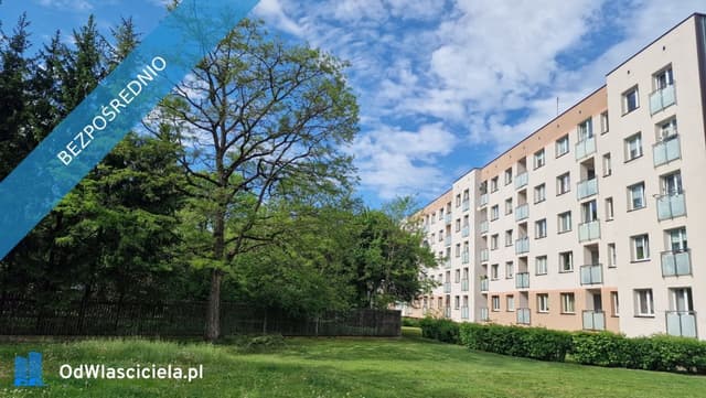 Słoneczne 2 pokoje z widokiem na zieleń | Wygoda / Bojary - Zdjęcie 2/6