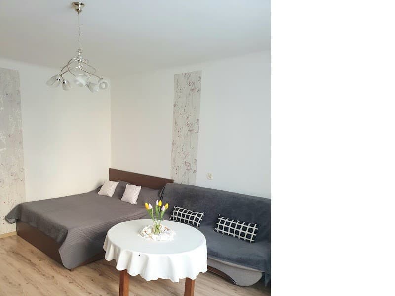 Stylowe mieszkanie w sercu Grzegórzek, doskonała lokalizacja - Zdjęcie 1/12