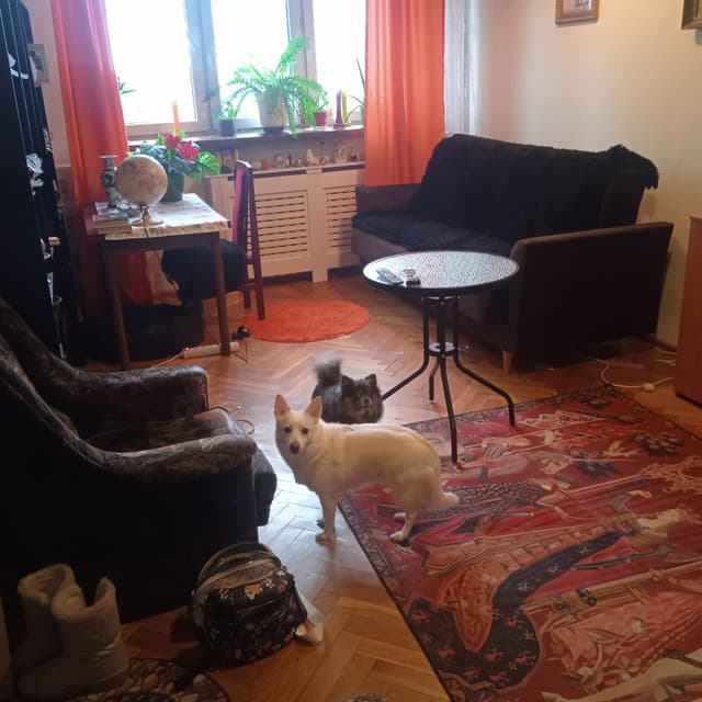 Doskonałe mieszkanie inwestycyjne na Mokotowie - Zdjęcie 5/5