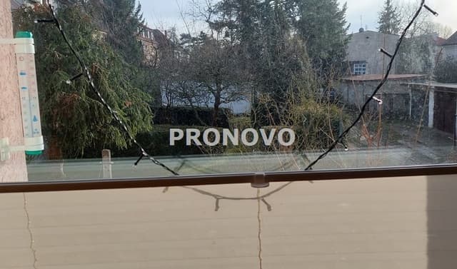 Stylowe mieszkanie w przedwojennej willi z ogrodem na Pogodnie - Zdjęcie 4/14