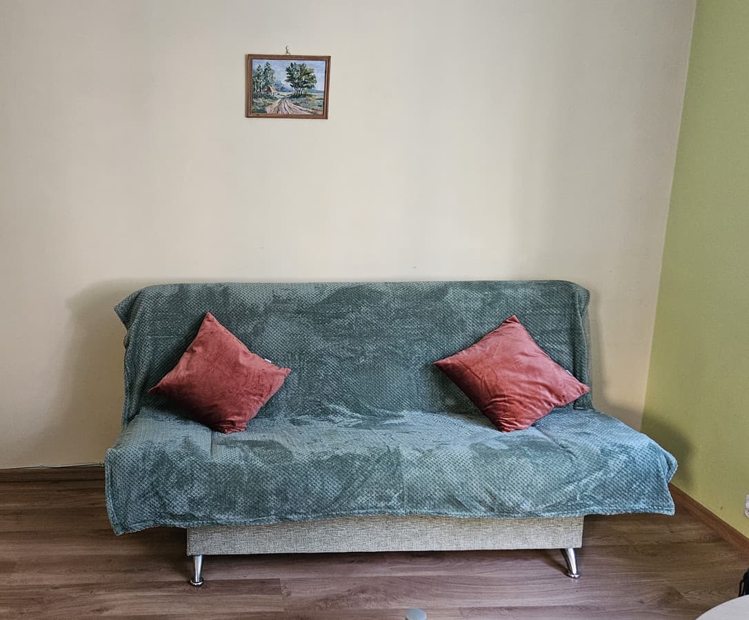 Przytulne mieszkanie w sercu Bałut - gotowe do wprowadzenia - Zdjęcie 1/11