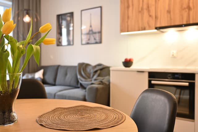 Nowoczesny apartament przy parku, Osiedle Enklawa - Zdjęcie 3/20