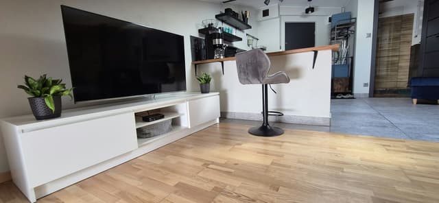 Stylowa, klimatyzowana kawalerka loft w centrum Łodzi - Zdjęcie 4/10