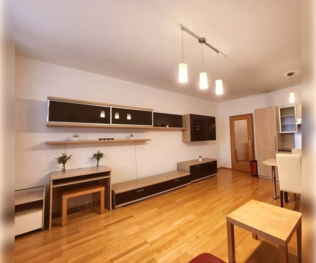 Mieszkanie 1-pokojowe na Winogradach - 1500 zł - Zdjęcie 1/11