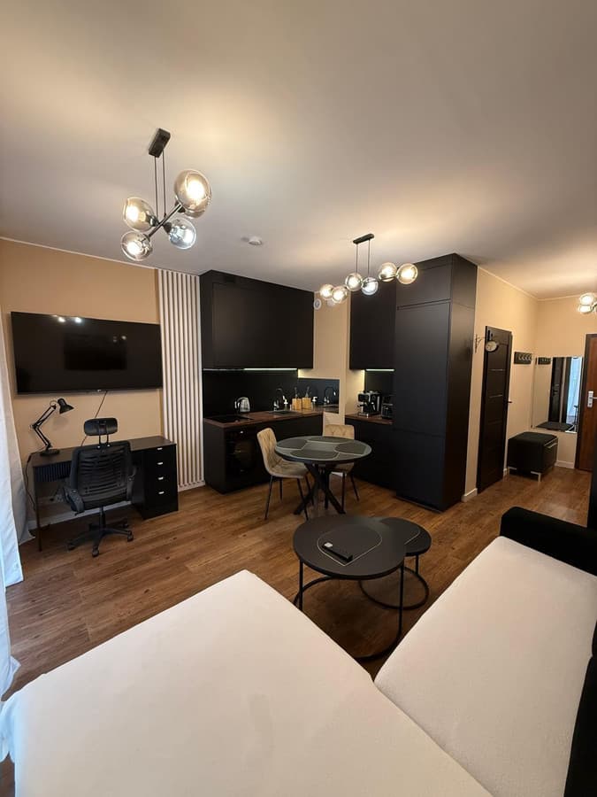 Luksusowy apartament z klimatyzacją, centrum Łodzi - Zdjęcie 1/15