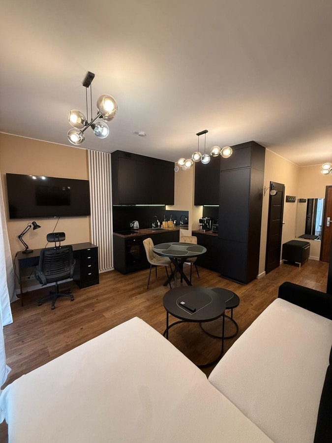 Luksusowy apartament z klimatyzacją, centrum Łodzi - Zdjęcie 1/15