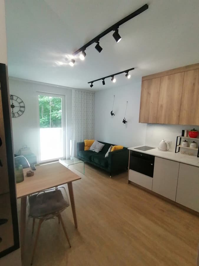 Mieszkanie w centrum Łodzi przy Piotrkowskiej - Zdjęcie 1/10