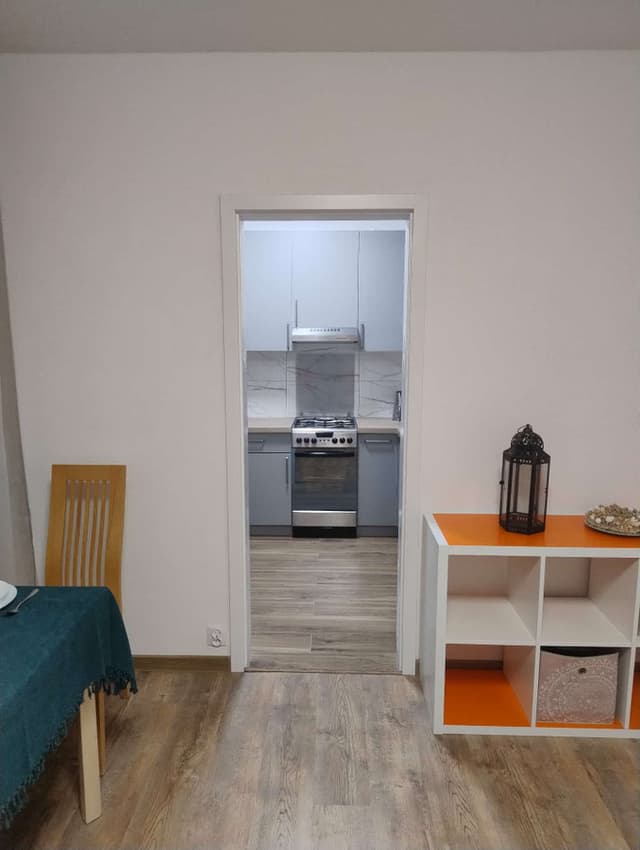 Mieszkanie 1-pokojowe w Grunwaldzie do wynajęcia - Zdjęcie 5/17