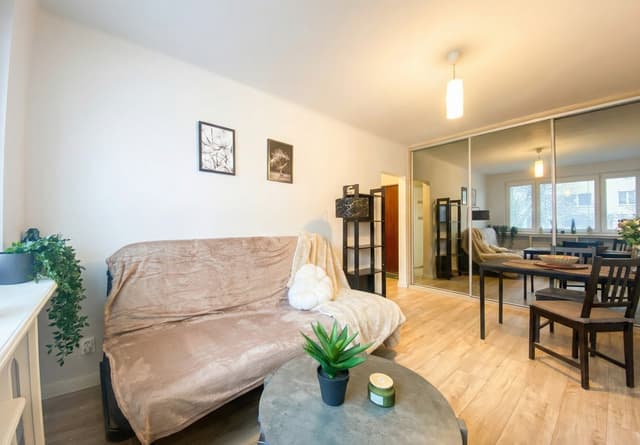 Funkcjonalny apartament w Bałutach - okazja inwestycyjna - Zdjęcie 3/10